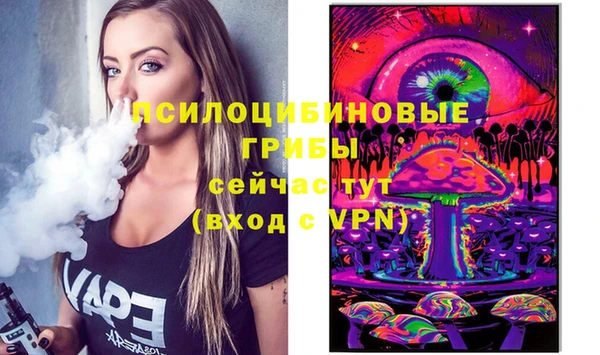 mdma Бородино