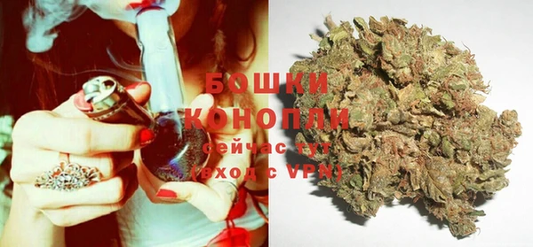 гидра Бугульма