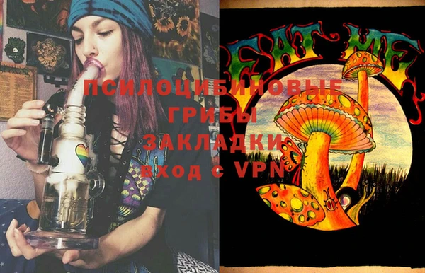 mdma Бородино