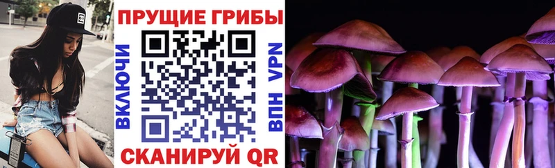 Галлюциногенные грибы Cubensis  darknet состав  Химки 